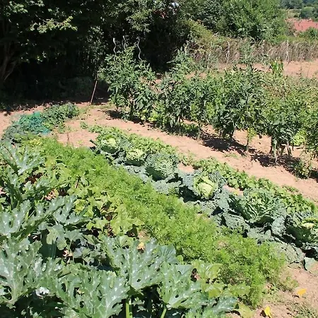 Bed & Breakfast Le Mesnil-5