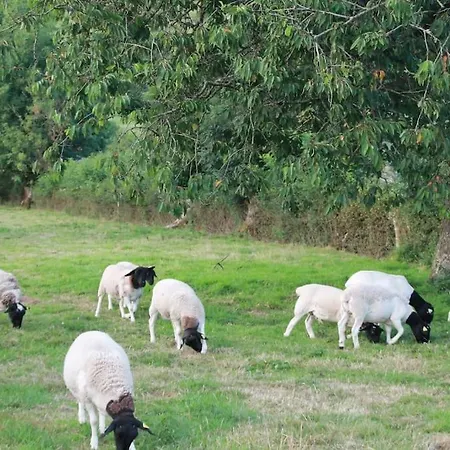 Le Mesnil-5 Bed & Breakfast Mesnil-Follemprise