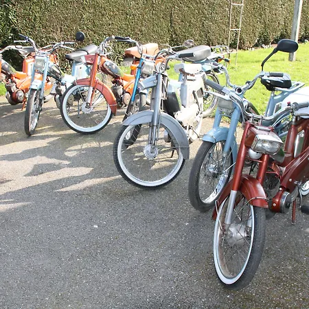 Bed & Breakfast Le Mesnil-5