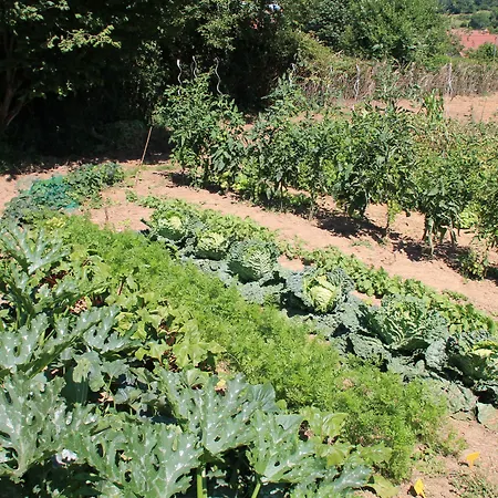 Le Mesnil-5 Bed & Breakfast